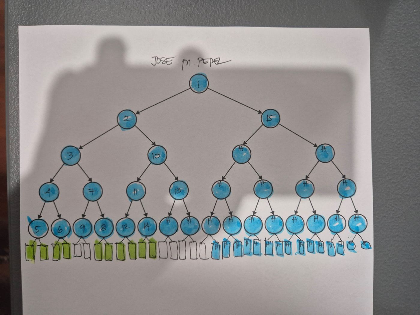 Hand-drawn binary network headed Jose M. Perez with numbered blue circles and colored leaf positions